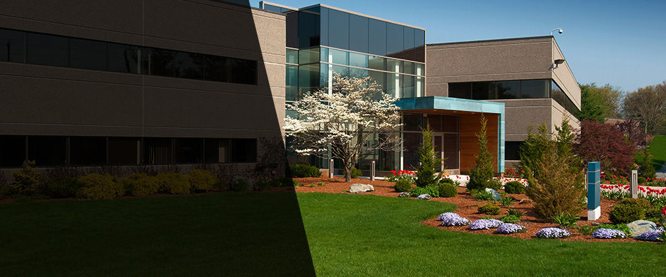 Bar Harbor Landscapers