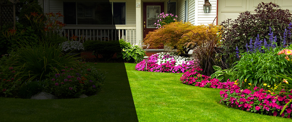 Bar Harbor Landscapers