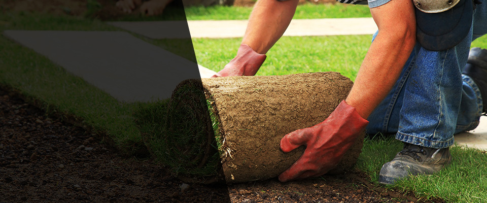 Bar Harbor Landscapers